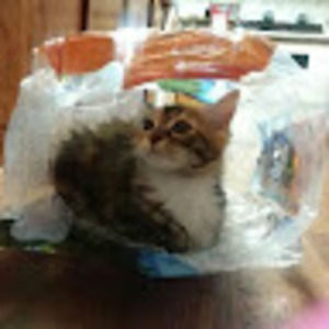 Meet your Posher, Aubrey